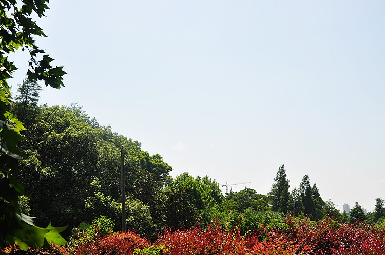 dsc_1409.jpg