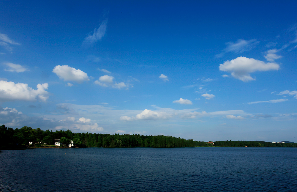 _mg_0223.jpg