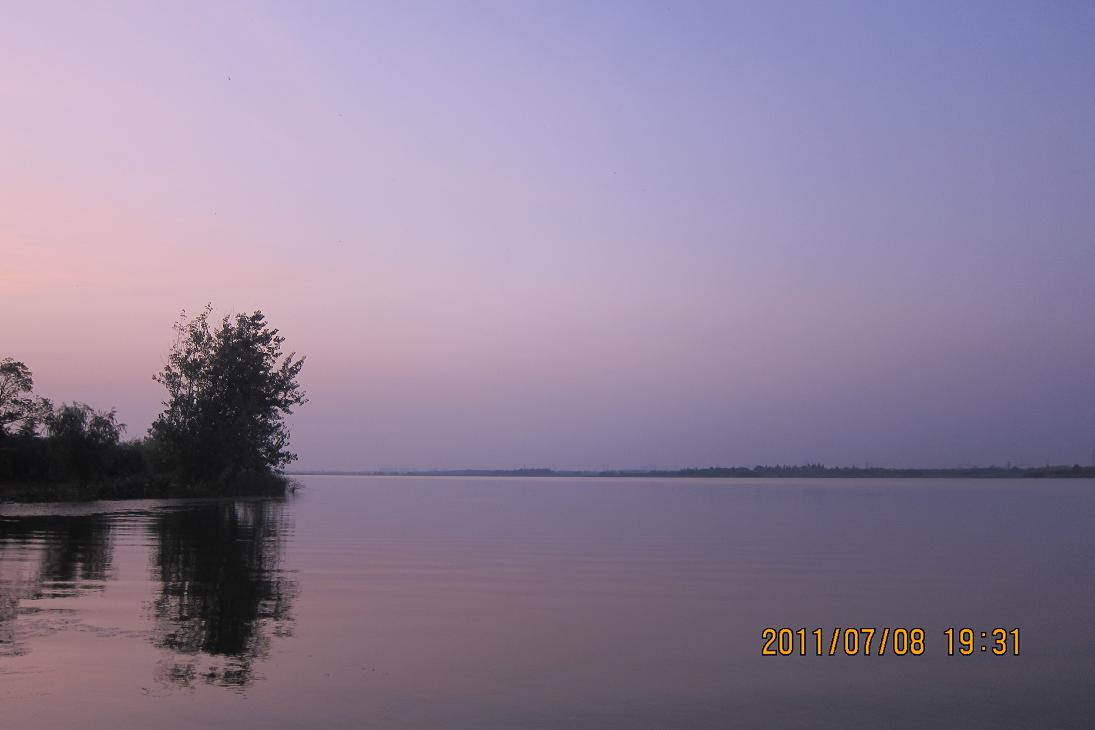 263-1.jpg