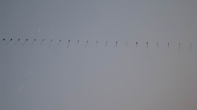С ͽ 017.jpg
