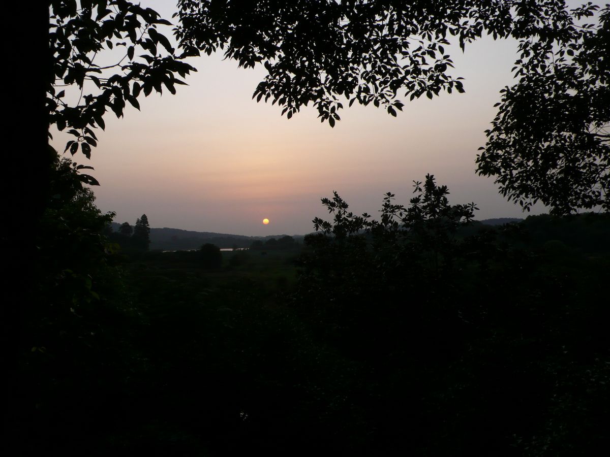 l1110111.jpg