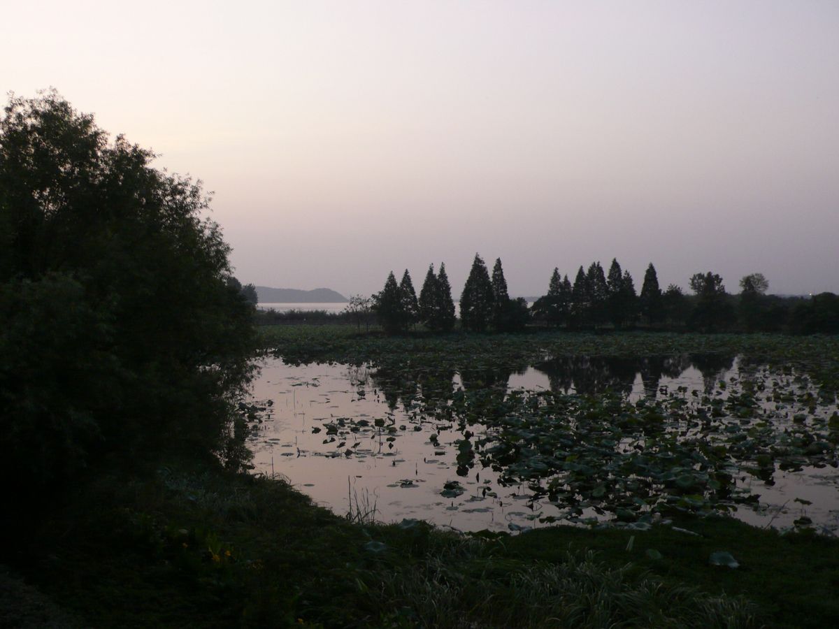 l1110119.jpg