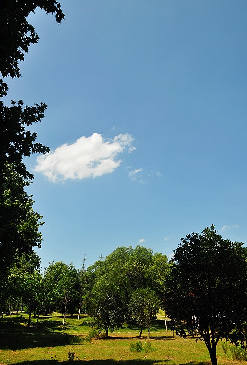 dsc_1420.jpg