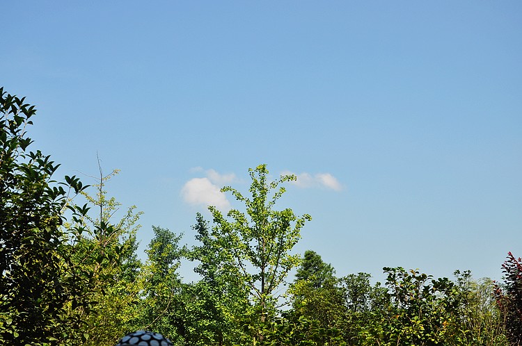 dsc_1421.jpg