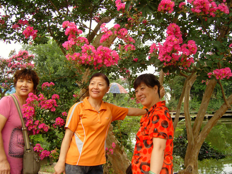 ���� snc10007.jpg
