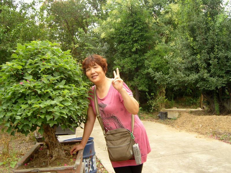 ���� snc10011.jpg