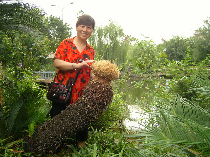 ���� snc10017.jpg