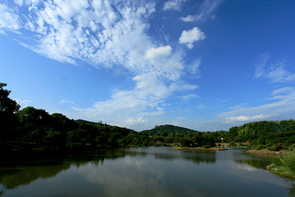 _mg_0229.jpg