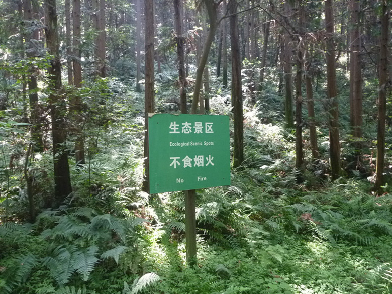 p1070176_����.jpg