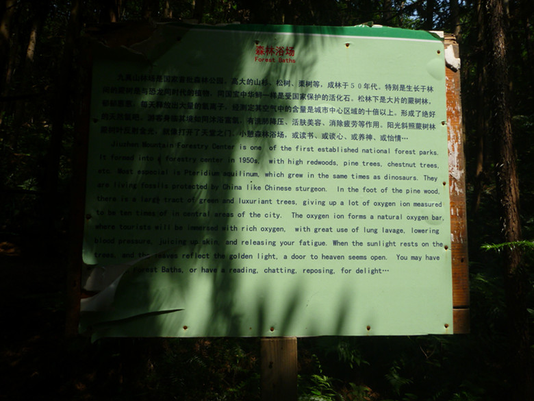 p1070178_����.jpg