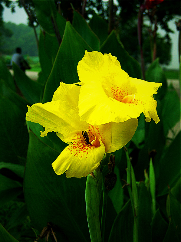 dscn9714_����.jpg