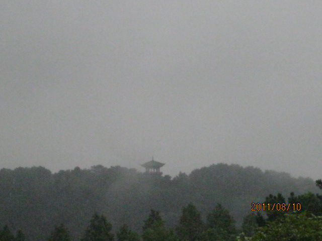 img_3911.jpg