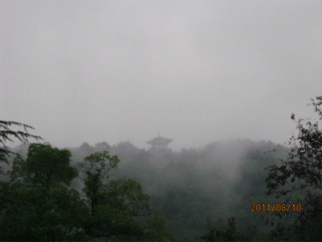 img_3915.jpg