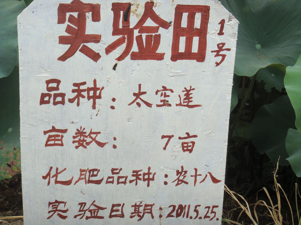dsc05776.jpg