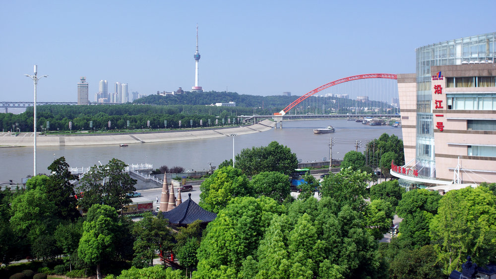imgp2608.jpg