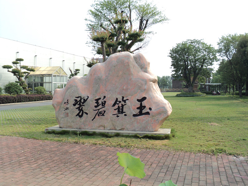 dsc04998_.jpg