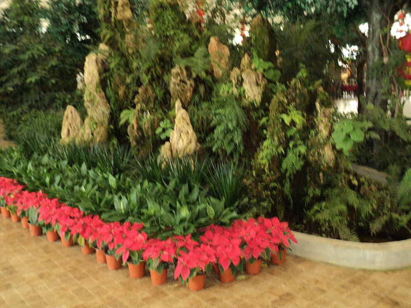 dsc05015_.jpg