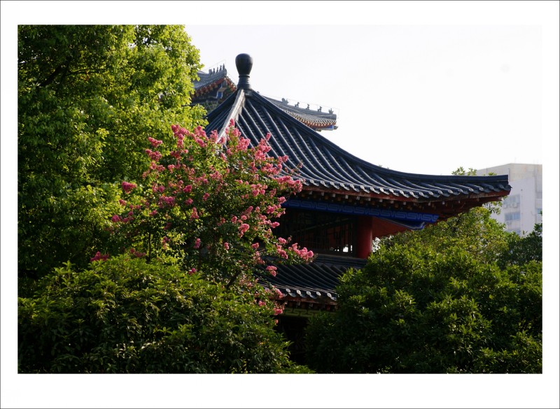 conew_ɨ������ 004_conew1.jpg