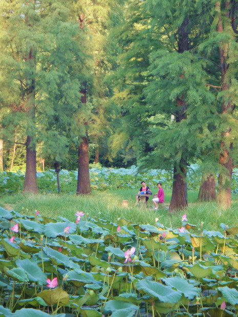 dsc04660.jpg