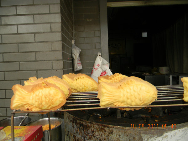 dscn6813.jpg