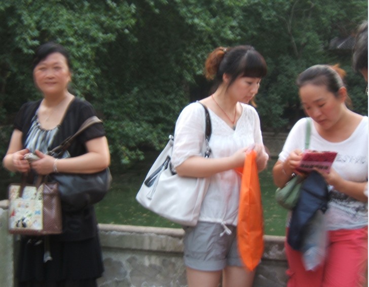 dsce6584.jpg