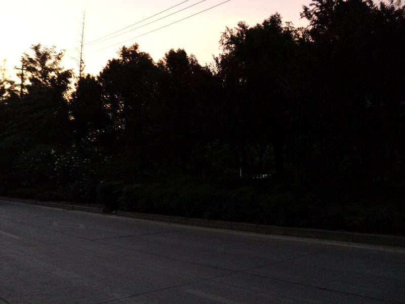 dsc05716_.jpg