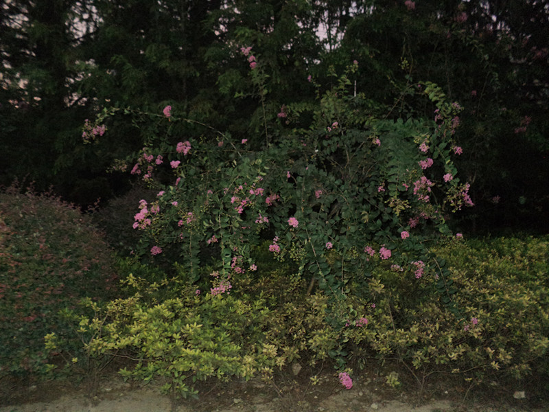 dsc05718_.jpg