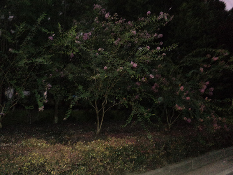 dsc05720_.jpg