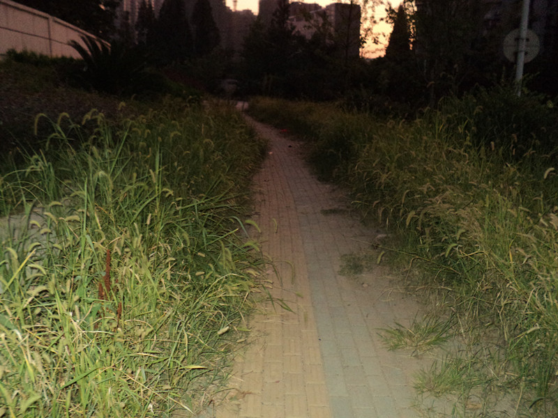 dsc05722_.jpg