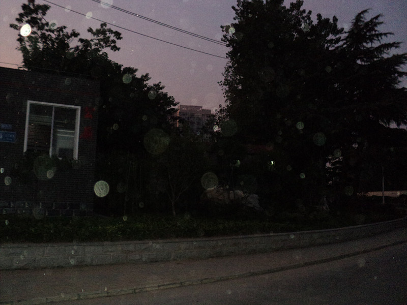 dsc05724_.jpg