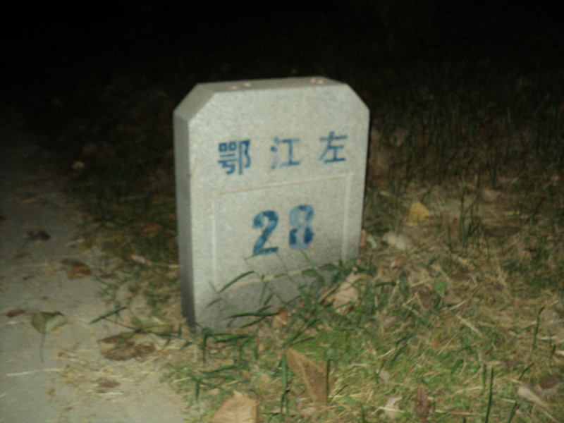 dsc05729_.jpg
