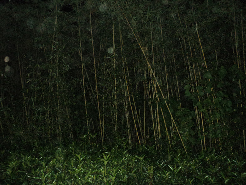 dsc05732_.jpg