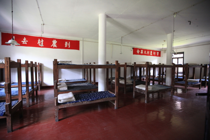 dpp_0064.jpg