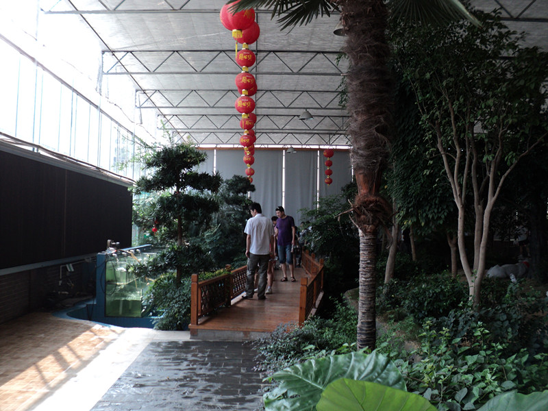 dsc05020_.jpg