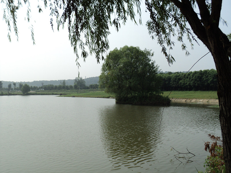 dsc05034_.jpg