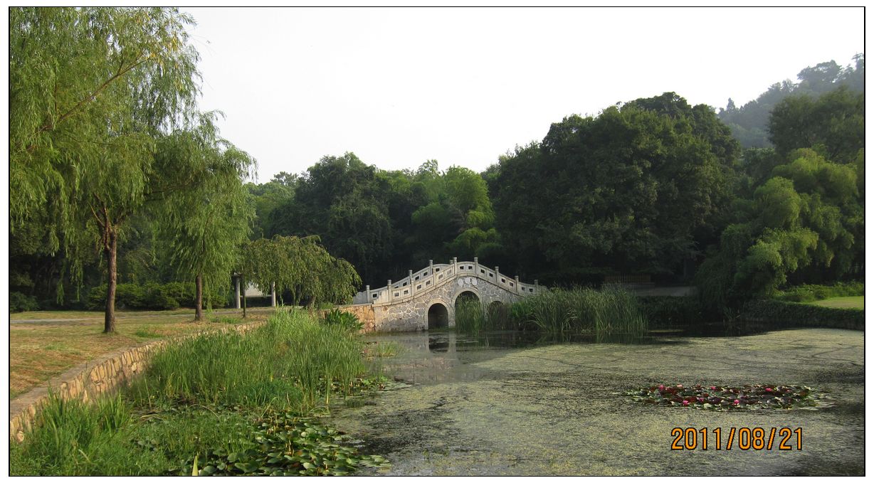 106.jpg