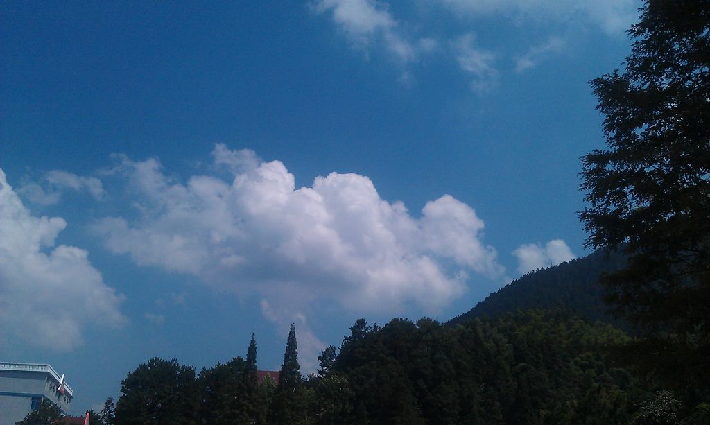imag0650.jpg