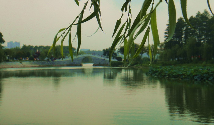 dsc03503.jpg