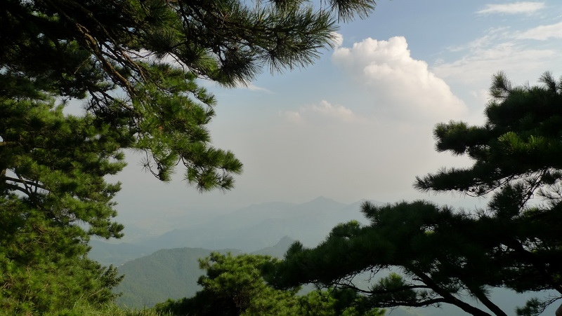 p1010558.jpg