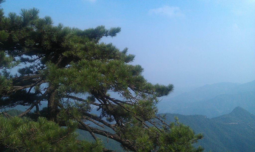 imag0695.jpg