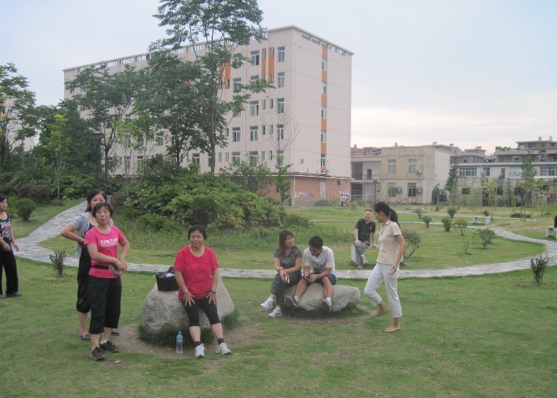 381-3.jpg
