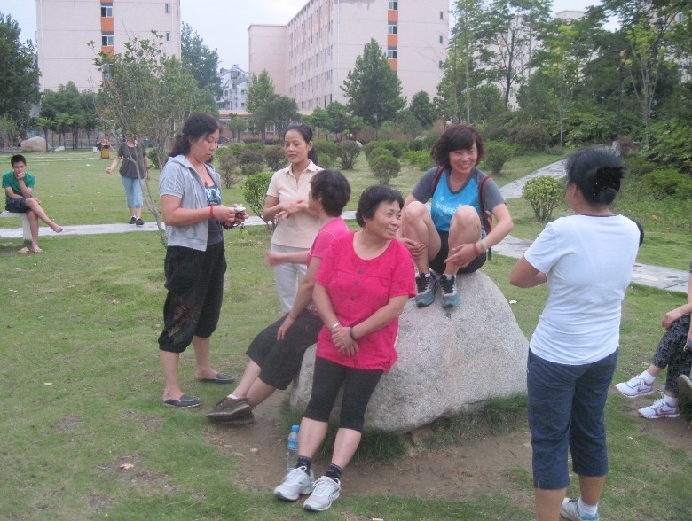 381-6.jpg