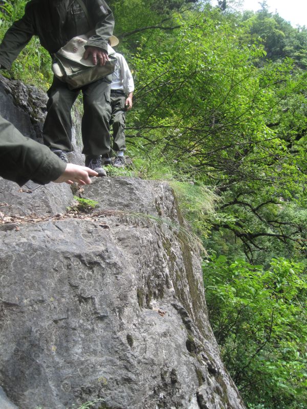 20109251282670456.jpg