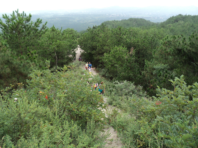 dsc05761_.jpg