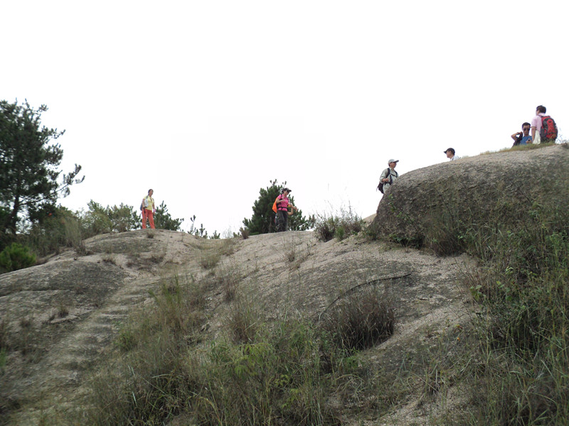 dsc05767_.jpg