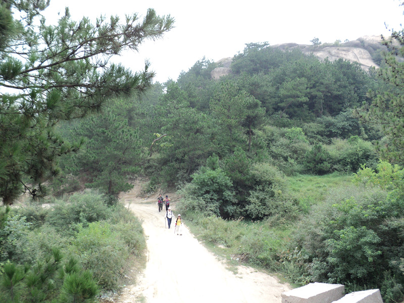 dsc05768_.jpg