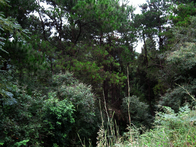img_6155.jpg