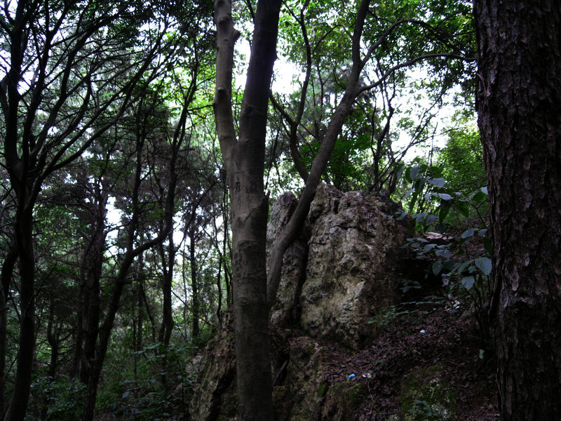 img_6159.jpg