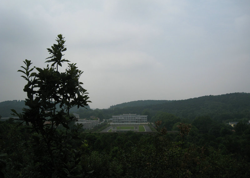 img_6170.jpg