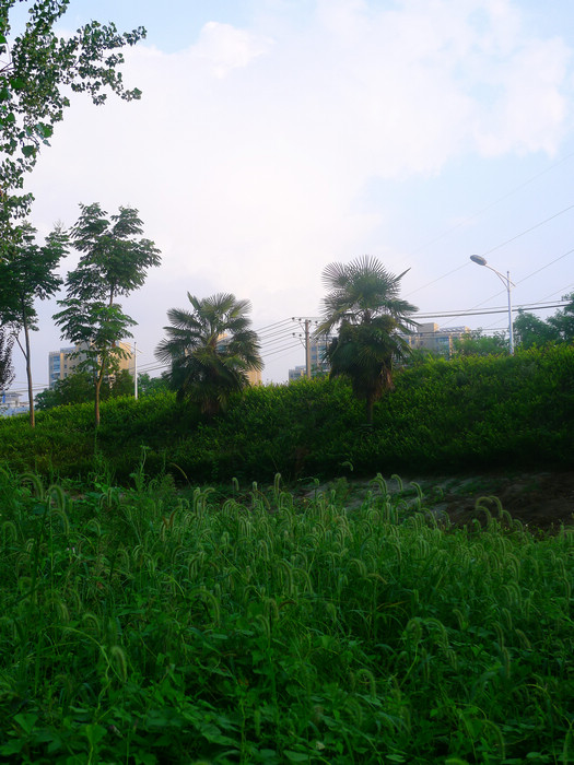 p1030358.jpg